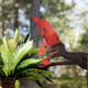 The pterosaur and a fern, in a rendering.